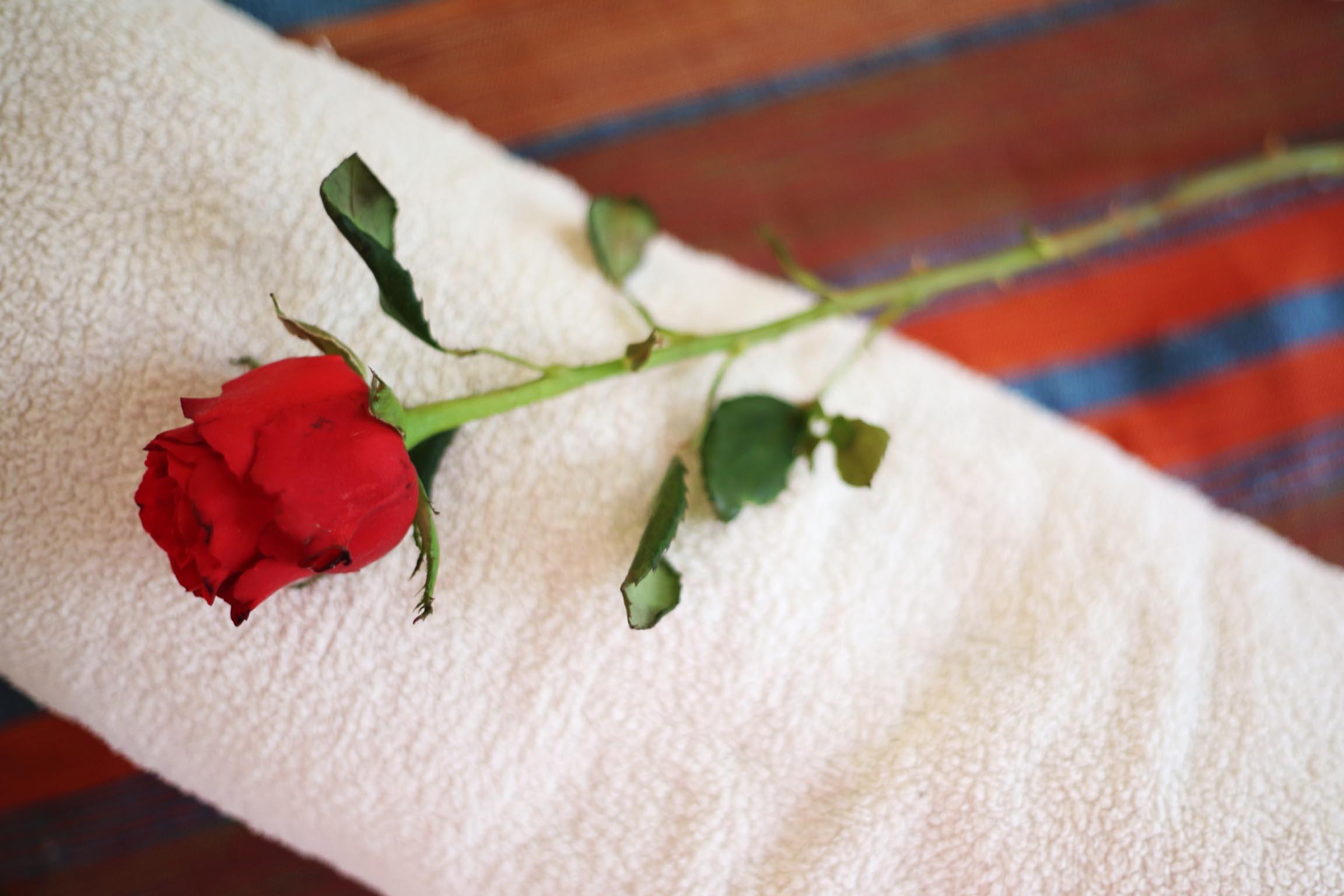 Riad White Flowers Marrakesh Exterior photo